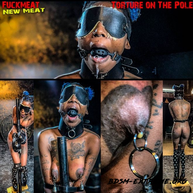 Fuckmeat Torture On The Pole (2020/FullHD) [BrutalMaster]